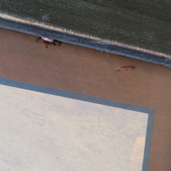 Framed Nautical Art Print Sailboat - Picture 7 of 16